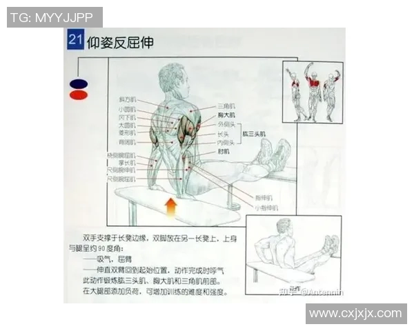 仰卧哑铃臂屈伸导致肘部疼痛的原因及解决方法解析